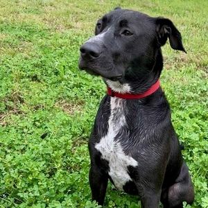 Meet your Posher, Natasha